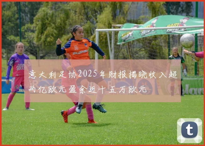 意大利足协2025年财报揭晓收入超两亿欧元盈余近十五万欧元