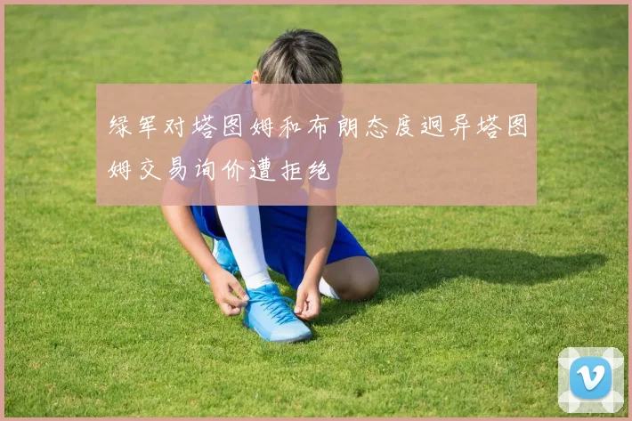 绿军对塔图姆和布朗态度迥异塔图姆交易询价遭拒绝